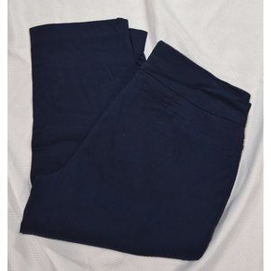 Style & Co Blue  size PL